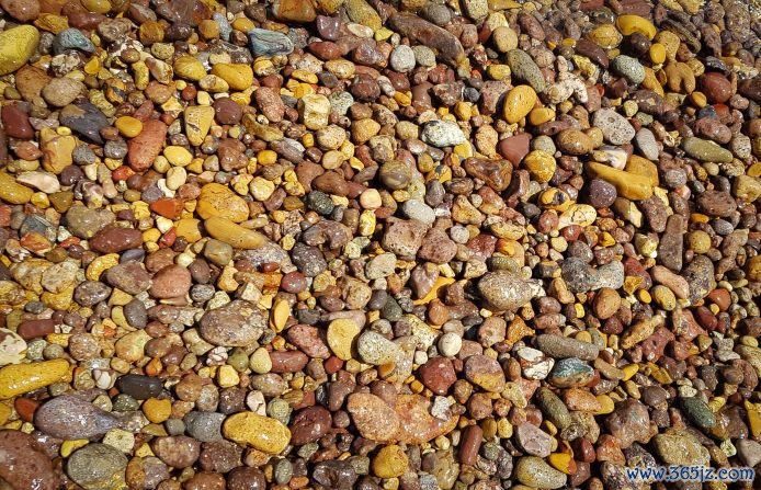 Rainbow pebbles: The colors range from butterscotch orange to sweet potato red and egg-yolk yellow, all threaded with dark streaks and dashes of pure white.
