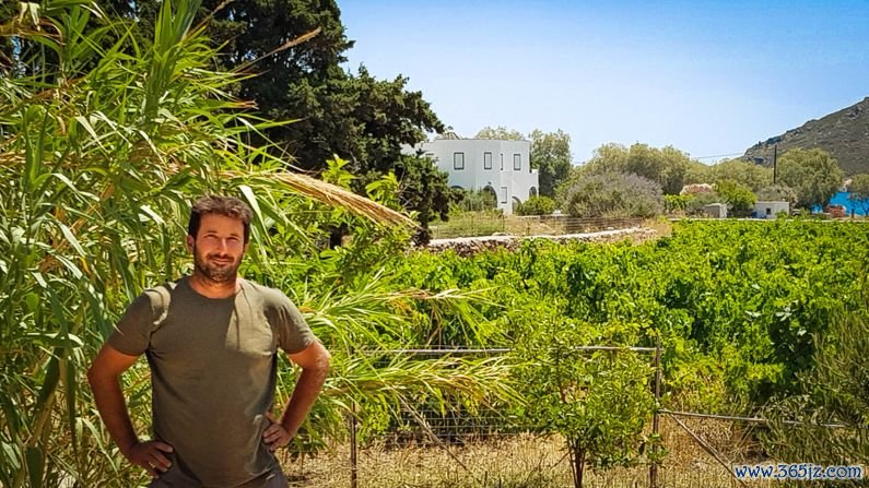 Almost ideal: "The soil is fertile, there's water in the ground, but the terroir is not perfect for the vines," winemaker Dorian Amar says